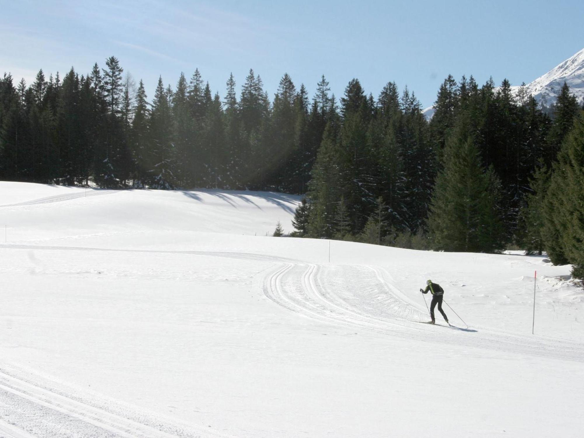 Nice Chalet In Hohentauern Styria With Sauna Villa Bagian luar foto