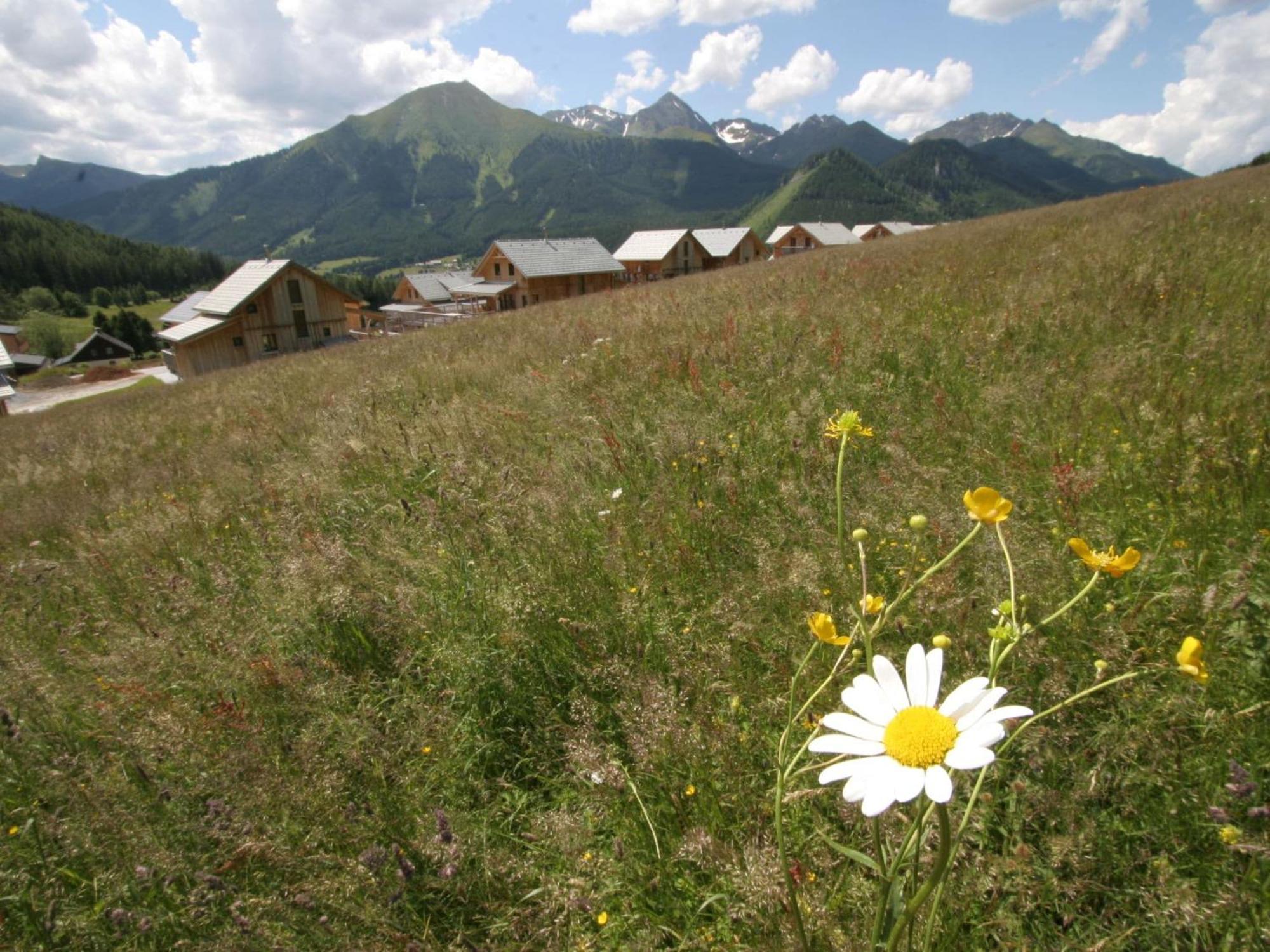 Nice Chalet In Hohentauern Styria With Sauna Villa Bagian luar foto